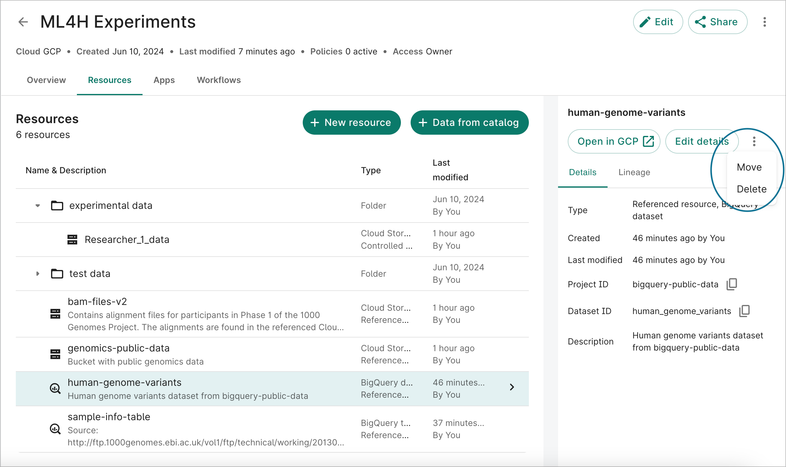 Screenshot of a workspace's Resources tab, showing a list of resources and a BigQuery dataset's details, with the Move and Delete options highlighted.