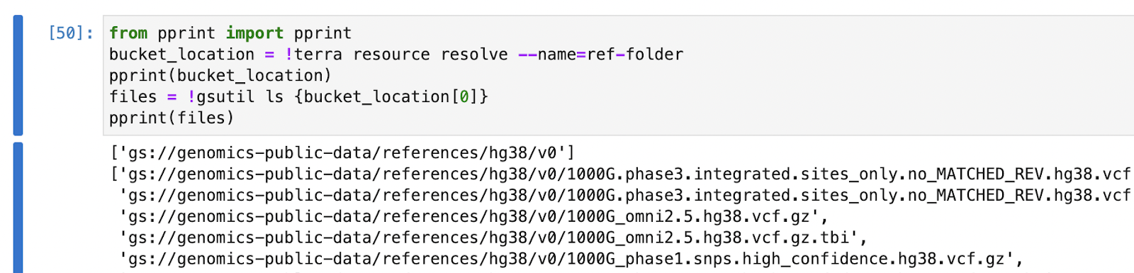 Screenshot of commands to print list of files using Python and !terra resource resolve.